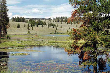 USA-Wyoming-Grand Tetons Covered Wagon Train